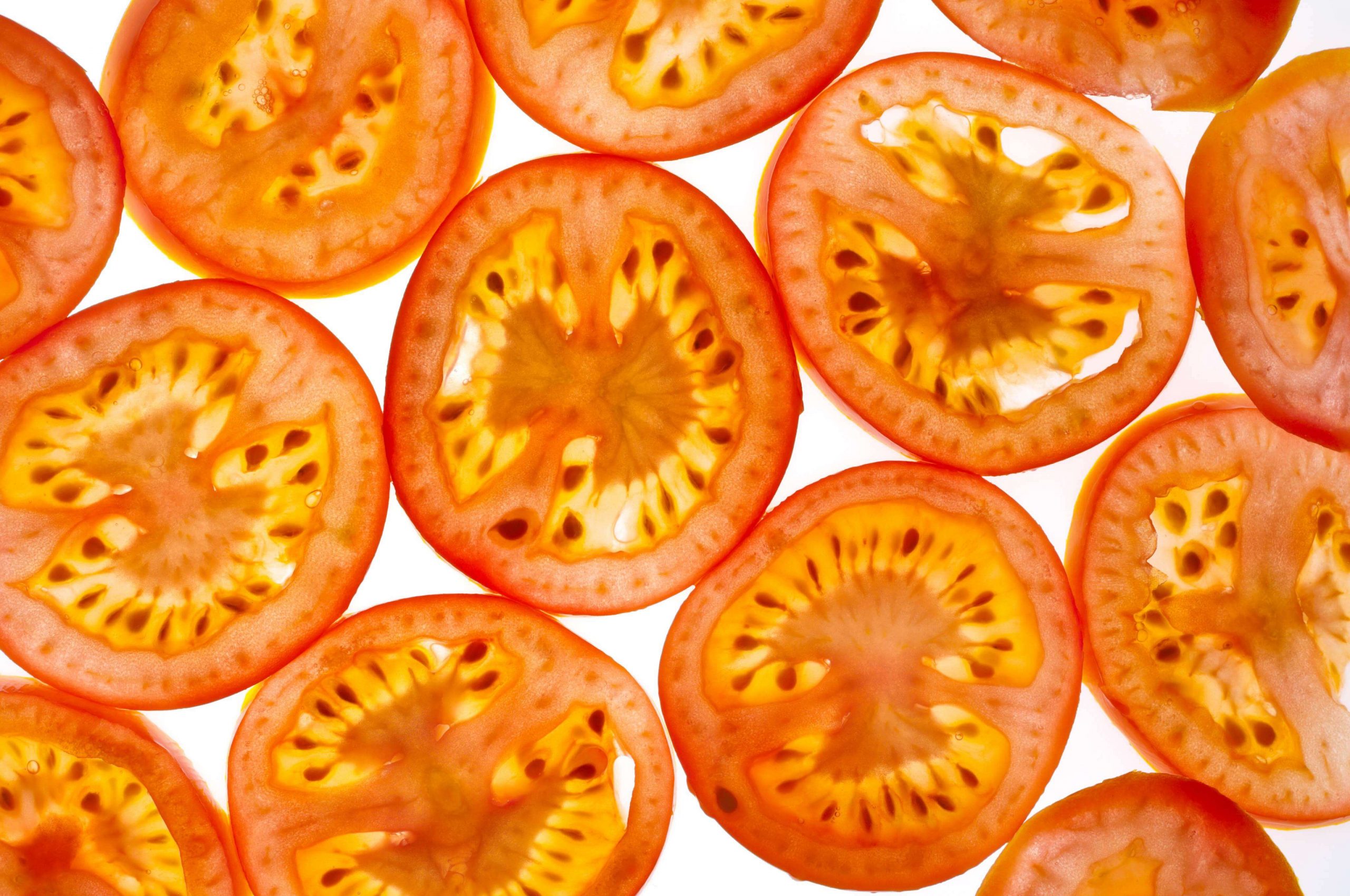 Detail of a layer of tomatoes. They are bright red on a white background.